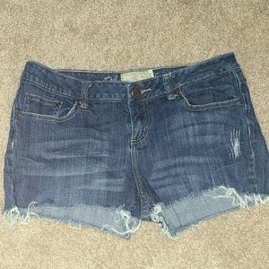 American Rag shorts